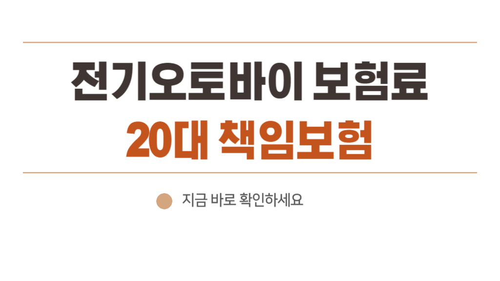 전기오토바이 보험료 (20대 책임보험) 및 삼성화재 가입 후기 + 시티플라이 보조금